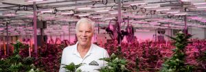 Tremendous difference in quality and quantity with Philips LEDs