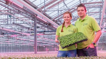 Employés Rudy Raes