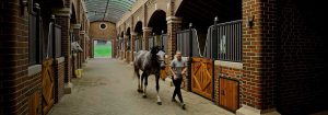 Bourne Hill Stables 使用 UV-C 照明创造更安全的环境