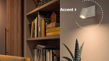 Focos spot LED Philips montados en la pared para resaltar una planta