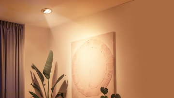 Pendant And Ceiling Lights