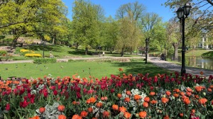 PARKS, RECREATION, & MUNICIPALITY