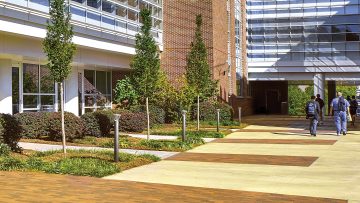 ABB Arbor Bollard Invue Pathway Luminaire
