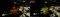 roadway lighting