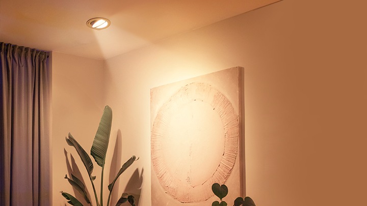 Pendant And Ceiling Lights