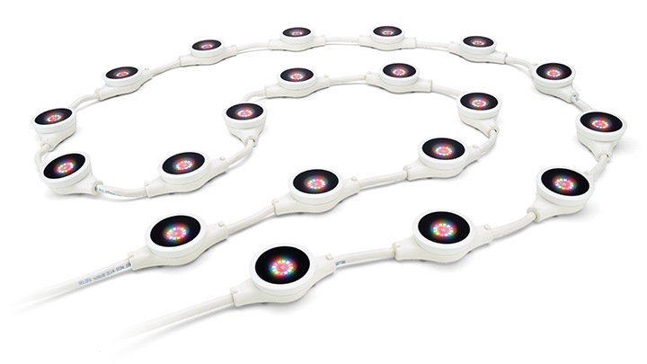 FlexElite Family Beauty