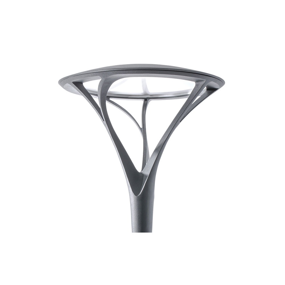 Arbor