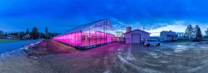 Philips LED Hortikultur belysning