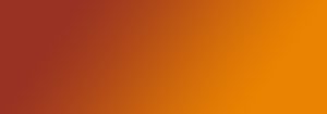 Terms of use