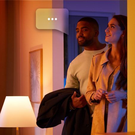 Spraakbediening van de Philips Hue