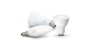 Explore Bulbs